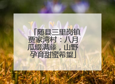 随县三里岗镇贾家湾村：八月瓜缀满藤，山野孕育甜蜜希望